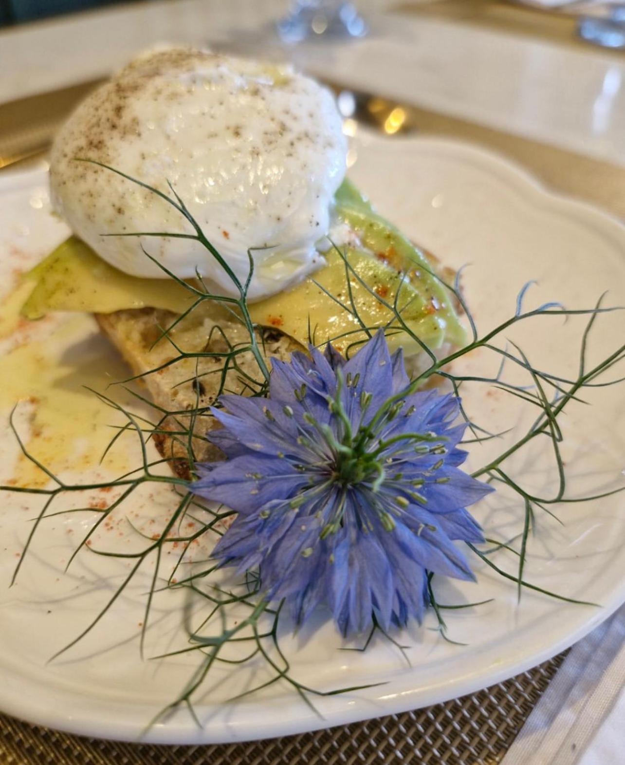 קנלה Blumen Hotel Boutique מראה חיצוני תמונה